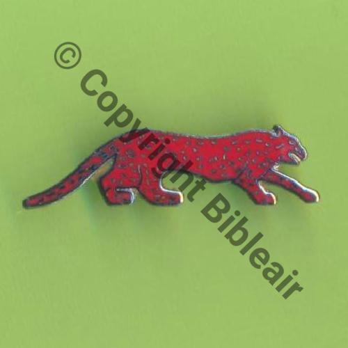 244  2000+ A1247 3eDRILLE BR.244 ER.1.33 BELFORT REIMS  A.P.S SM 2Anneaux Quadrille fin No133 Src.Y.GENTY 150Eur02.15